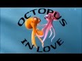 Octopus in Love