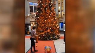 ‘Climate cultists’ in Germany ‘took out their rage’ on Christmas trees in seven cities