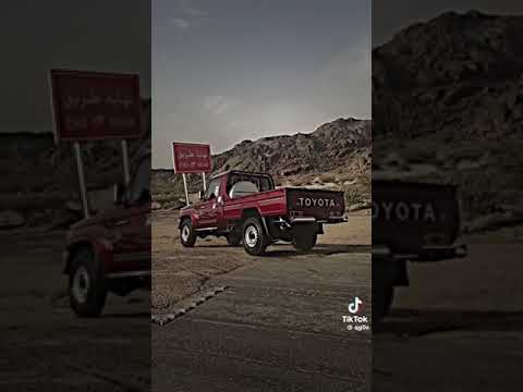 خيال الابل والبلد نجرا ونعم بكل القبايل ونعم بيام وقحطان ونعم مليون زعيم البريمي 24