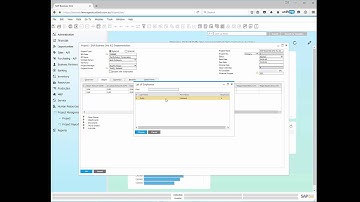 SAP Business One 9.2 -  The new Project Management feature