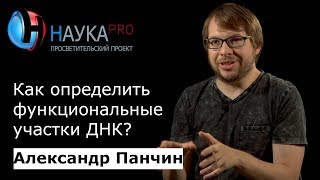 Как определить функциональные участки ДНК? | Лекции по генетике – биолог Александр Панчин | Научпоп