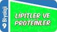 Peptitler: Amino Asitlerin Biyolojik Yapı Taşları ile ilgili video