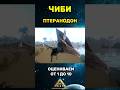 Чиби Птеранодон в Арк мобайл Ark ultimate MOBILE edition #shorts #memes #chibi