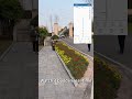 How to measure irregular curves like a pro？