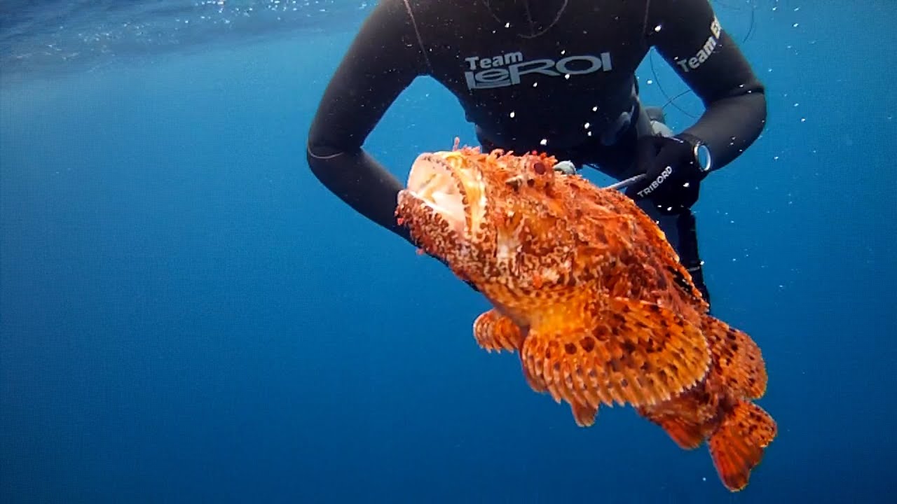 III Trofeo CAS S'Embarcador de Pesca Submarina IBIZA 2015. Campeonato