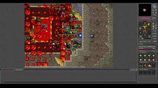 Old Tibia - FIRST FERUMBRAS(npc) Killed in Tibia - Salve Knight (7.81 2006 Antica)