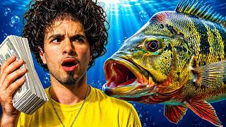 I Bought My MOST Aggressive Fish Yet...