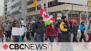 Anti-vaccine mandate and lockdown rallies held in Canada, Europe
