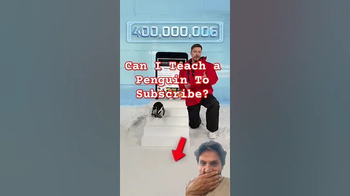 Can I Teach a Penguin To Subscribe? #penguin #shorts #shortvideo #trending #mrbeast #subscribe