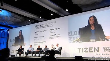 Tizen Developer Conference 2013 - Partner panel