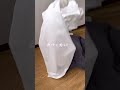 アルミブラインド#diy #インテリア