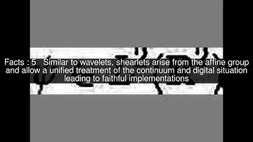 Shearlet Top  #12 Facts