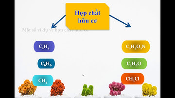 BÀI 34: KHÁI NIỆM VỀ HỢP CHẤT HỮU CƠ VÀ HOÁ HỌC HỮU CƠ - HOÁ HỌC 9