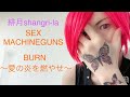 SEX MACHINEGUNS BURN〜愛の炎を燃やせ〜 歌ってみた 弾いてみた
