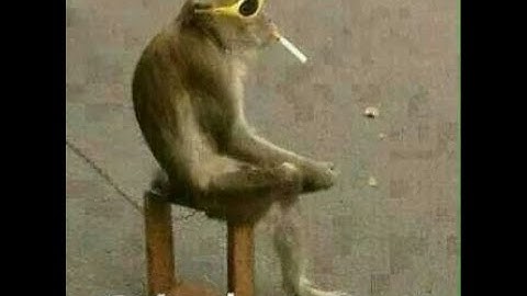 COMO INSTALAR ARQUIVOS tar.gz NO LINUX (primeira vez que mecho com isso)