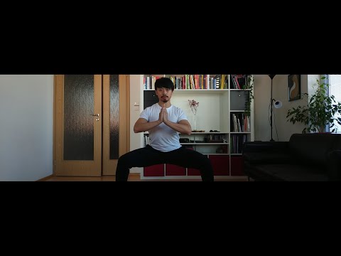 Video: Jak Se Naučit Kung-fu