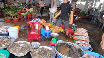 Dạo vòng chợ Cần Giuộc và Chợ Hải Sản xem thị trường giá cả thế nào? Giá Vàng ở Thị Trấn Cần Giuộc?.