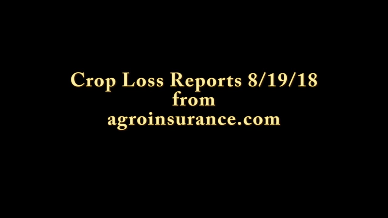 Crop Loss 8/19/18