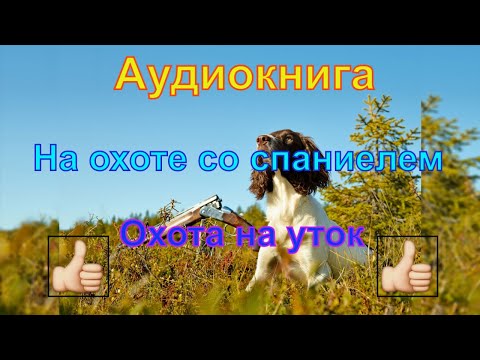 "На охоте со спаниелем" Валов Н.А. "Охота со спаниелем на уток"