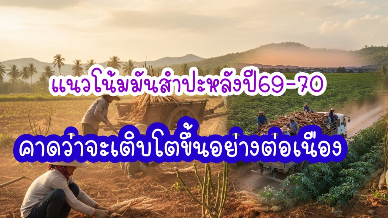 ปี69-70-แนวโน้มมันสำปะหลังคาดว่าเติบโตขึ้นอย่างต่อเนือง