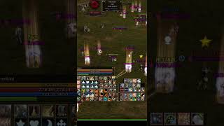 L2 AMERIKA Paladin (Phoenix Knight) #l2highfive #pvp #l2h5 #gamer #pk #l2 #lineage2 #paladins