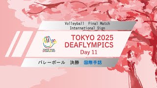 day 11volleyball International Signfinal Match