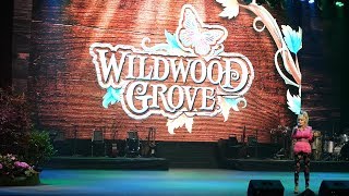 Dolly Parton Opens 2019 Season at Dollywood
Dolly Parton joins passholders and media outlets to discuss the 2019 season at Dollywood. She talks about the Festival of Nations as well as the upcoming opening of Wildwood Grove. In addition, she highlights some of her recent appearances in the entertainment world, what Dollywood has been up to this past off-season, and so much more. To learn more about Dollywood, visit their website at http://Dollywood.com
Video and Audio Gear Used in this Video:
Panasonic GH5s DSLR camera: https://amzn.to/2Qc6PS7
Panasonic Lumix 12-35mm f/2.8 lens: https://amzn.to/2KRUoVM
Movo MFF400 Motorized Video Shoulder Rig: https://amzn.to/2EdpZAq
Ikan EG05A2 Two Stage Aluminum Tripod: https://amzn.to/2KYgtlD
Neewer Camera LED Video Light: https://amzn.to/2Q8lFc8
FEELWORLD T7 7 inch Monitor: https://amzn.to/2Ug1OXd
Sennheiser MKE 600 Shotgun Microphone https://amzn.to/2tOu2w0
Tascam DR-44WL Handheld Portable Recorder with WiFi https://amzn.to/2PkxsPl
Sennheiser HD 380 PRO Headphones https://amzn.to/2Pk4NKb
Sony SF-G128/T1 High Performance 128GB SDXC UHS-II Class 10 U3 Memory Card: https://amzn.to/2KQhuMb
*As an Amazon Associate, Coaster Addict earns a small monetary portion from qualifying purchases. Note that the price you pay is never higher because you use the links that we have included above.
Be sure to subscribe to our YouTube channel to get more great video content in the very near future. We also encourage you to connect with us on social media!
Facebook: https://www.facebook.com/coasteraddict
Twitter: https://twitter.com/coaster_addict
Instagram: https://www.instagram.com/Coaster_Addict/ Dolly Parton Opens 2019 Season at Dollywood