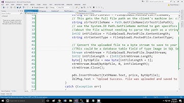 Save Image in SQL Server Example Asp Dot Net