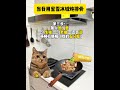 雪王进厨房之《棒打鲜橙炖排骨》 #猫meme #雪王进厨房 #蜜雪冰城#猫meme小剧场 #好好吃饭