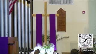St. Luke Catholic Church Live Stream