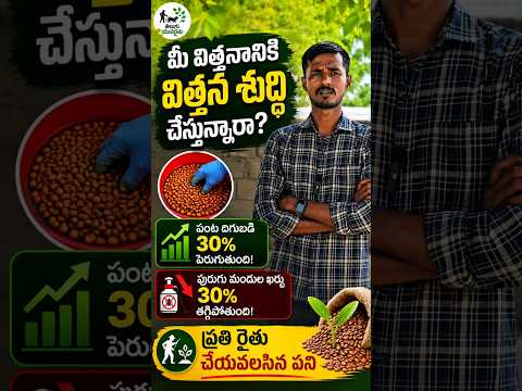 విత్తన శుద్ధి చేయకపోతే ఇంతగా నష్టపోతామా? #seedtreatment
