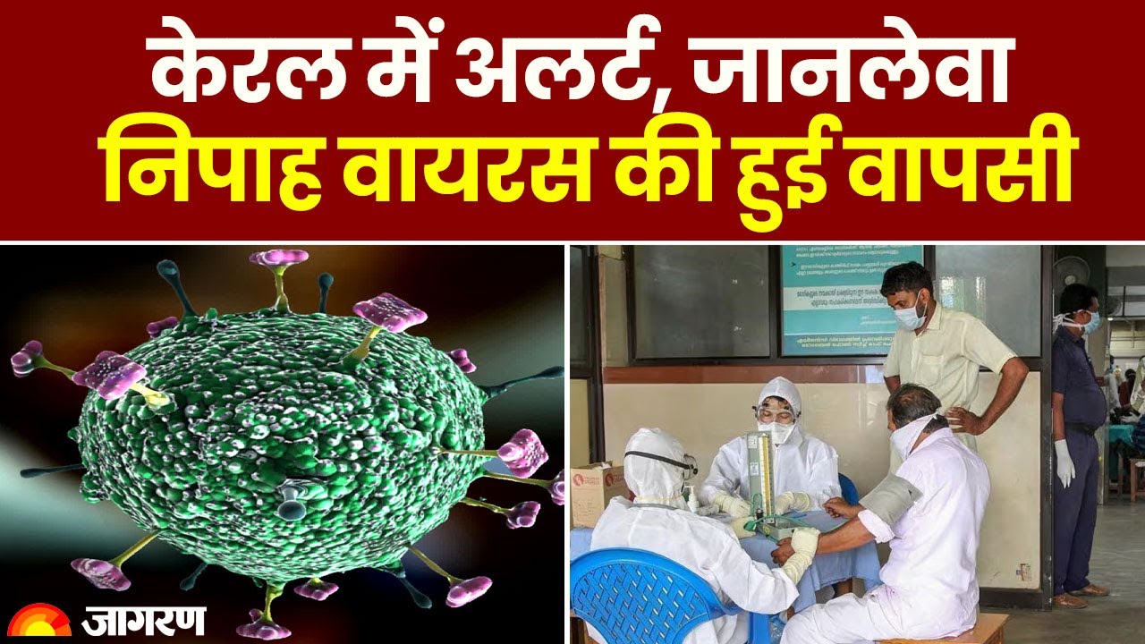 ⁣Nipah Virus Kerala: केरल में अलर्ट, जानलेवा निपाह वायरस की हुई वापसी। Symptoms। Latest News