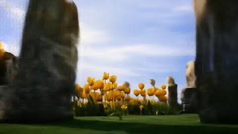 Windows XP Wallpapers and Sample Pictures put through Luma AI