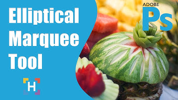 How To Use The Photoshop Elliptical Marquee Tool - Selection Tools - HigherLearningLab.com