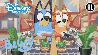 Bluey | 💙 Bluey Wil Alles! | Disney Channel NL