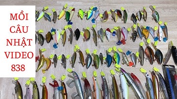 Mồi Câu Nhật : Mồi Lure Lóc Chẽm, Lure Suối, Minnow Lure Ghềnh, Nhái Hơi, Cá Sắt - Video 838