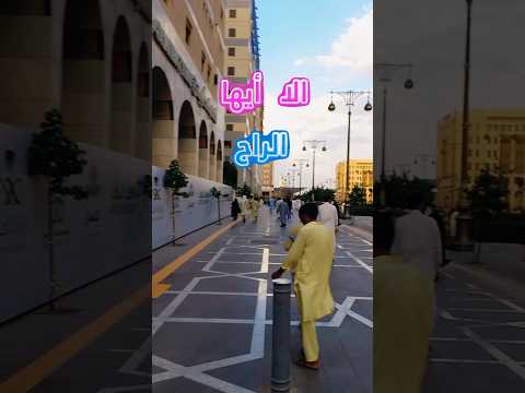 الا ايها الراجي المثوبة الشيخ توفيق الصائغ مدح النبي المدينة رمضان 2023