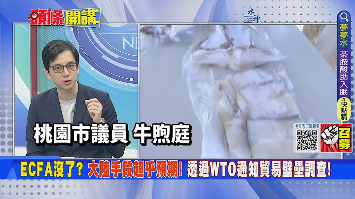 【头条开讲】Ecfa没了! 大陆贸易壁垒调查借WTO 突袭台独!民进党软了 中国货将满街跑!20230417@HeadlinesTalk - 天天要闻