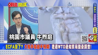 【頭條開講】Ecfa沒了! 大陸貿易壁壘調查借WTO 突襲台獨!民進黨軟了 中國貨將滿街跑!20230417@頭條開講HeadlinesTalk