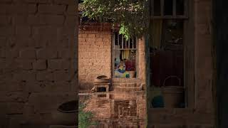 Soft Rainfall to Ease Stress Away 🛖🌧️ | #shorts #trending #rain #viralvideo screenshot 5