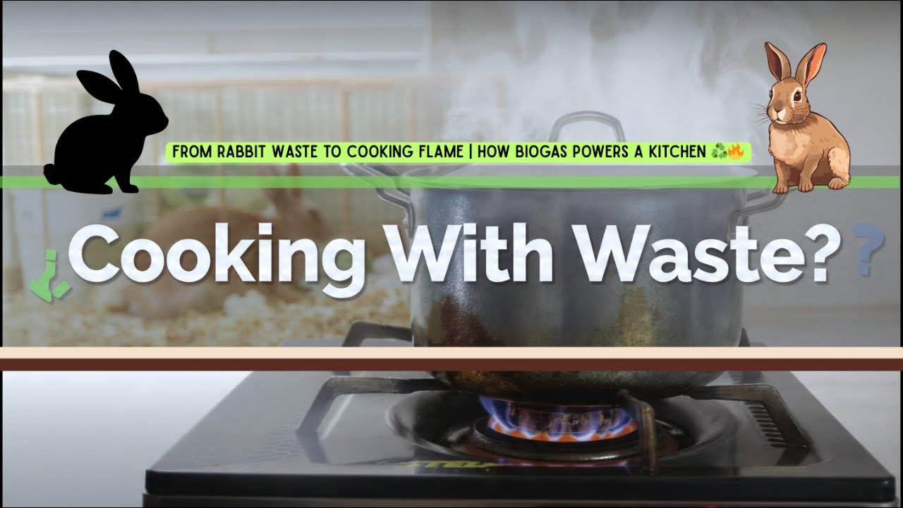 Turning Rabbit Waste into Energy | Smart Biogas for Sustainable Homes ⚙️🌿
