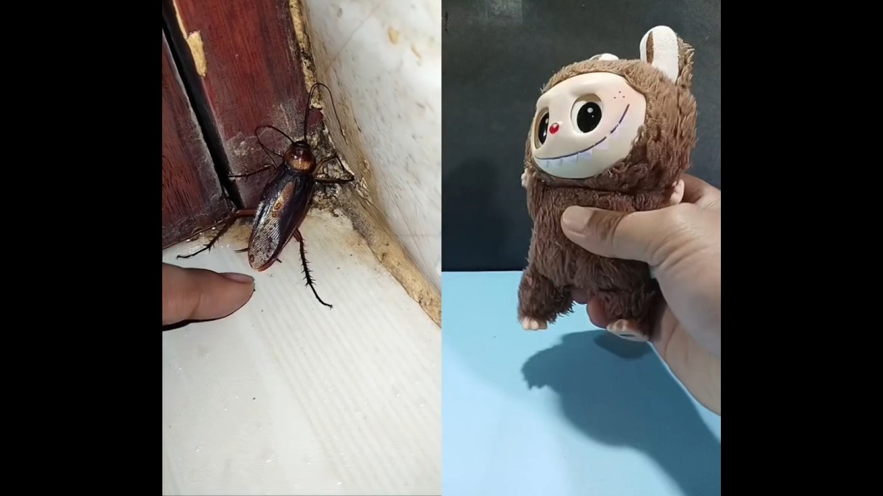 1,2,3 start cockroach 