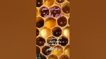 #رسالة #صباحية #لقلبك 📖 #مقولتي #الصباحية:سورة #النحل #آيات #يوتيوب#اكسبلور  #Quran# Saada
