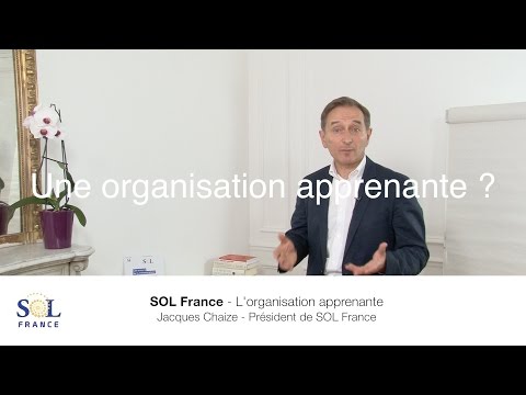 L' organisation apprenante kézako ? content media