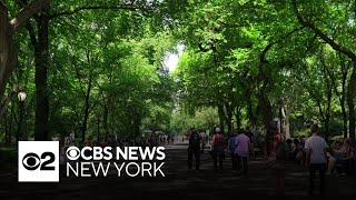 NYC getting funding for tree research project
