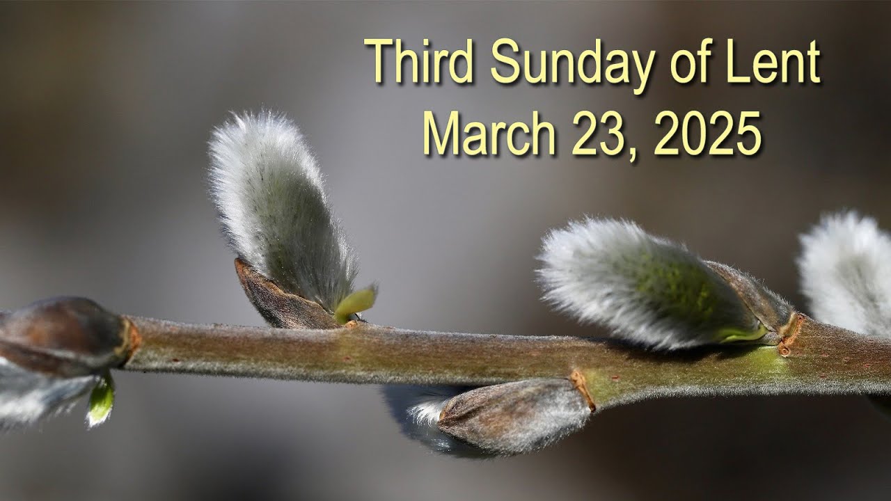 Third Sunday of Lent March 23 2025 - YouTube