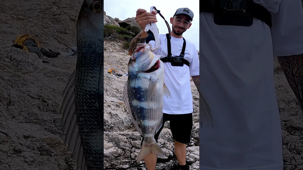 Συναγρίδες και Λούτσοι στον Κορινθιακό! #shorejigging #Ψάρεμα #fishing #fish