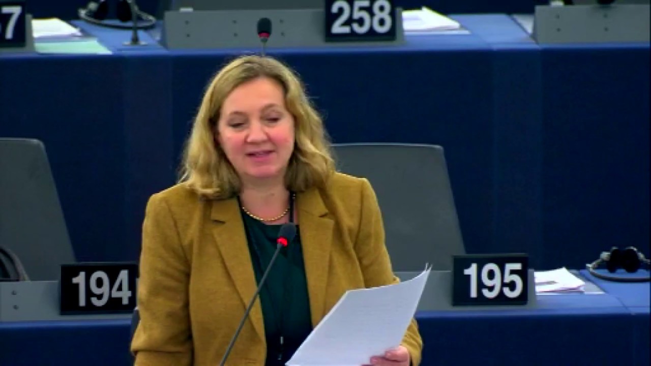 Lucy Nethsingha EU debates Brexit at the European Parliament | 18 December 2019 - Strasbourg