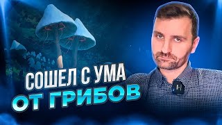 Сошел с Ума в Трипе. Что делать? Трип в Эго и Психотравме.