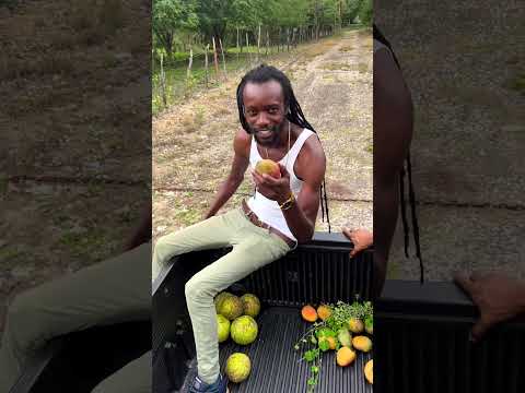 Rasta From The